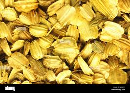 Attēlu rezultāti vaicājumam “Angelica archangelica fruit”