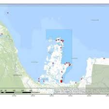 Image result for Myoxocephalus quadricornis