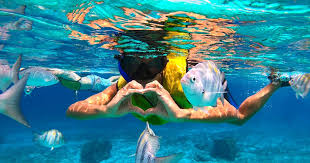 Image result for Belfairs Dolphins Snorkelling Club