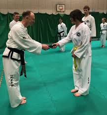 Image result for Hed Tkd (Dorking Tae Kwon-Do)