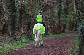 Image result for Abinger Forest Riding Club