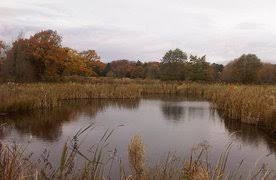 Image result for Dunham Massey Angling Club