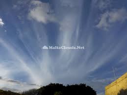 Attēlu rezultāti vaicājumam “Cirrus fibratus”