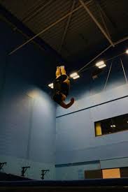 Image result for Uwe Trampoline Club