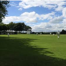 Image result for Nazeing Common Cricket Club