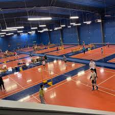 Image result for Ware Badminton Club