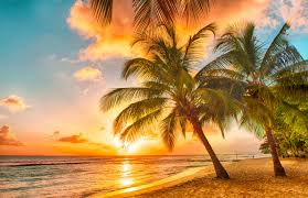 Image result for sunset
