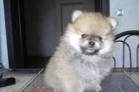 Image result for site:buyreklama.ru/*