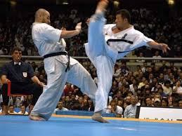 Image result for Kyokushin Karate