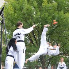 Image result for I T F Taekwondo (Andover)