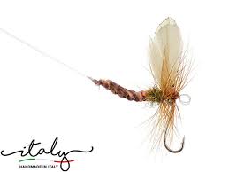 Attēlu rezultāti vaicājumam “Ephemera vulgata”