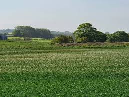 Image result for Warkworth Golf Club