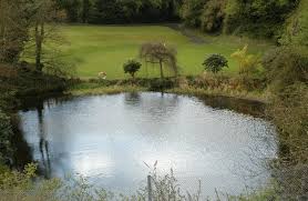 Image result for Carrickfergus Golf Club