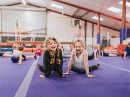 Image result for Jayenell Gymnastics Club
