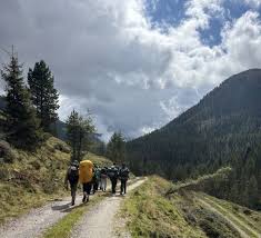 Attēlu rezultāti vaicājumam “Trichia alpina young”