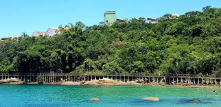 Image result for bombinhas