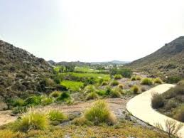 Image result for Pachesham Park Golf Centre