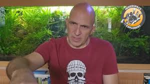 Image result for innerspace divers