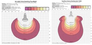 Risultati immagini per arcadia basking solar flood
