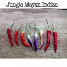 Afbeeldingsresultaat voor chili maya hot pepper hot pepper
