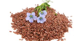 Image result for Linum usitatissimum