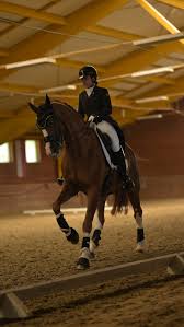 Image result for Interfreestyle Sport Karate