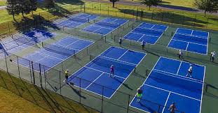 Image result for PICKLEBALL GORLESTON
