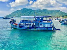 Image result for Blue Water Freediving School