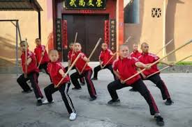 Image result for Shaolin Ancestors kung Fu School