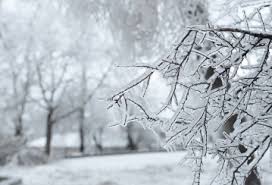 Image result for ice storm