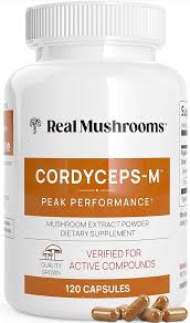 Attēlu rezultāti vaicājumam “Cordyceps”