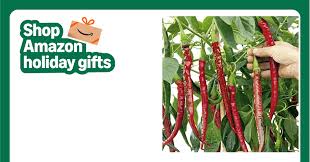 Afbeeldingsresultaat voor joe long cayenne hot pepper