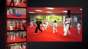 Image result for Red Dragon Taekwondo club
