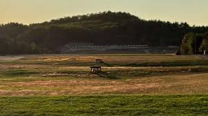 Image result for Wyke Manor Rifle Club