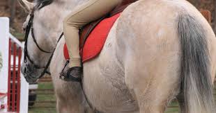 Image result for Patchett`s Green Riding Club