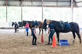 Image result for Dalkeith Park Equestrian Club