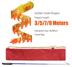 Image result for TRIANGLE CHANGQUAN FLYING DRAGON