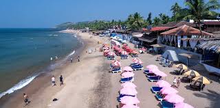 Image result for goa beaches