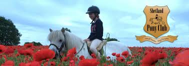 Image result for Bookham Riding Club