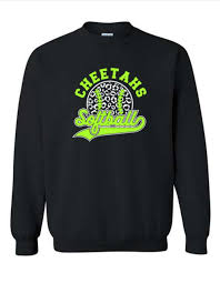 Image result for Cheetahs Softball Team