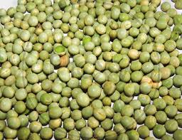 Attēlu rezultāti vaicājumam “Pisum sativum fruit”