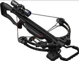 Image result for Oxford Archers