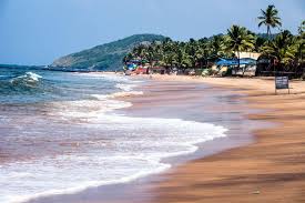 Image result for goa beaches