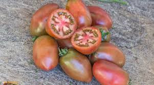 Afbeeldingsresultaat voor earl faux tomato