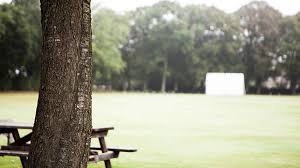Image result for Cockermouth Cricket Club