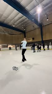 Image result for Streatham Ice Figure Skating Club, Kent