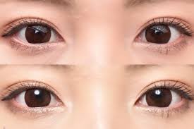 「エバーカラーワンデーナチュラル」の画像検索結果