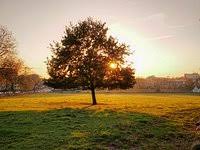Image result for sonsbeek park