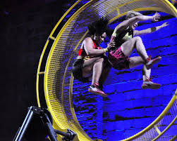 Image result for Georgia Tech Kayak Team