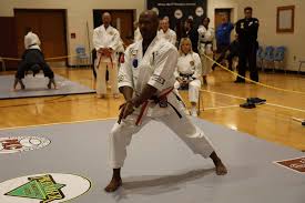Image result for COURT FIELDS karate Academy